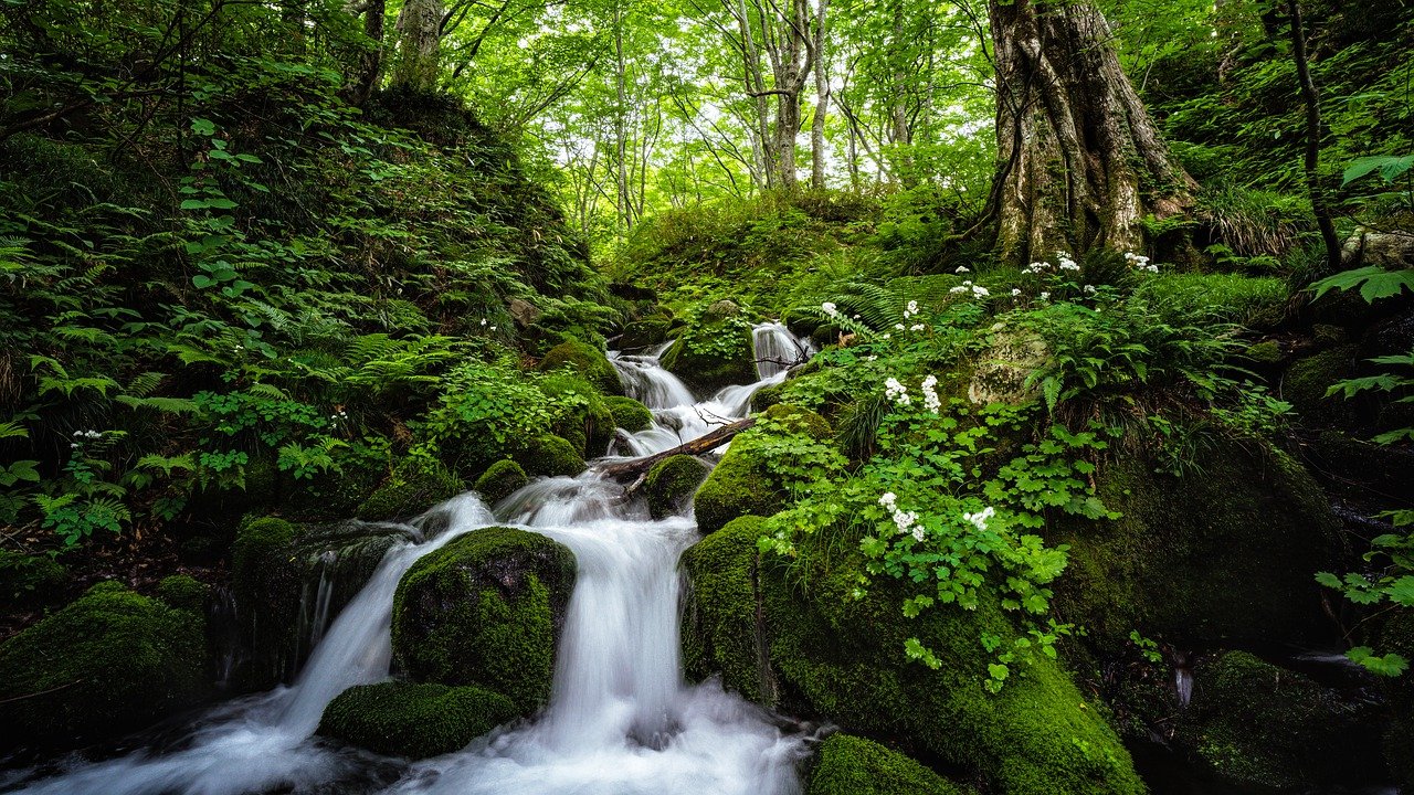 landscape, mountain stream, natural-7179011.jpg