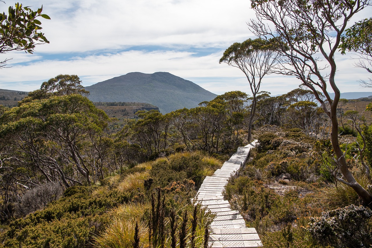 overland track, tasmania, wilderness-4111331.jpg