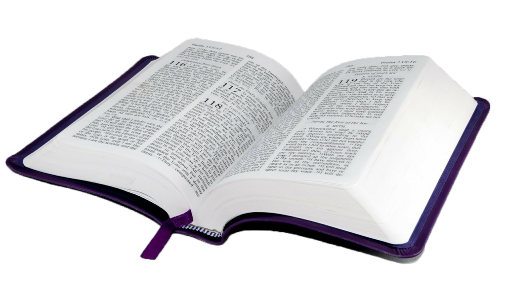 bible-study-book-religion-religious-text-holy-bible