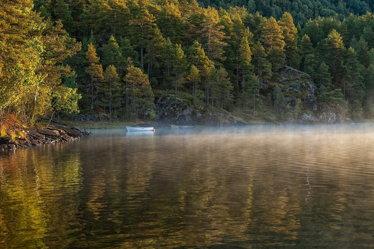 boat, lake, trees-8332114.jpg