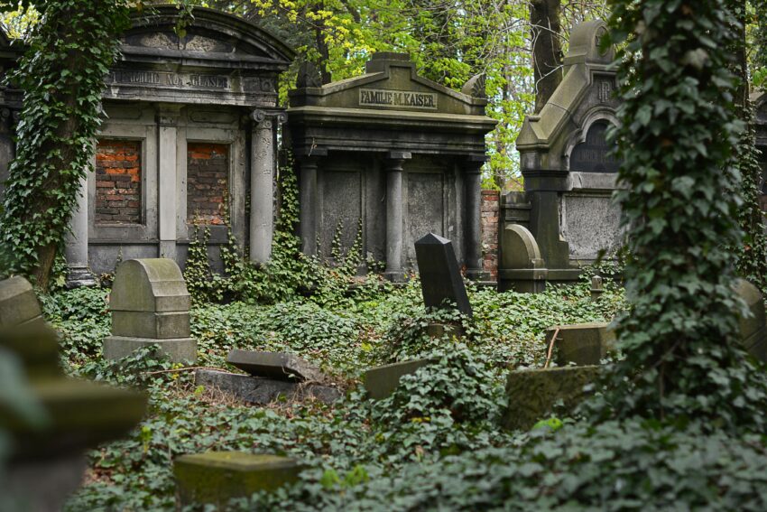Mysterious cemetery covered in ivy, featuring old tombstones and overgrown vegetation.
