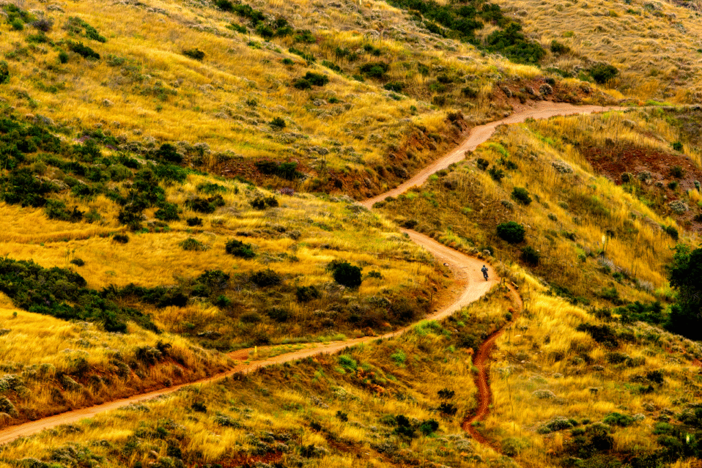 Motorbike rider explores winding dirt path through golden grassy hills.