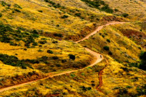 Motorbike rider explores winding dirt path through golden grassy hills.